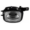 Fog Lamp Assembly, Passenger Side