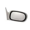 Manual Mirror Driver Side Assembly