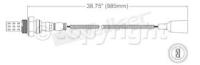 Oxygen Sensor