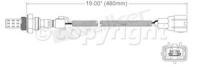 Oxygen Sensor