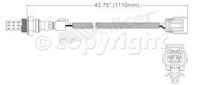 Oxygen Sensor
