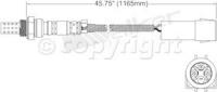 Oxygen Sensor
