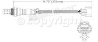 Oxygen Sensor
