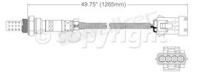 Oxygen Sensor
