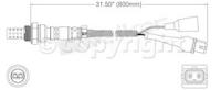 Oxygen Sensor