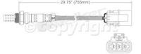 Oxygen Sensor, Front