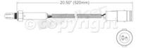 Oxygen Sensor