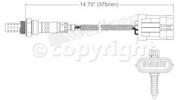 Oxygen Sensor
