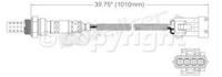 Oxygen Sensor