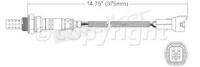 Oxygen Sensor