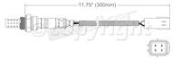 Oxygen Sensor