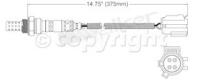 Oxygen Sensor