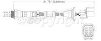 Oxygen Sensor