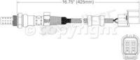 Oxygen Sensor