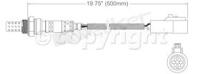 Oxygen Sensor