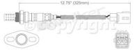 Oxygen Sensor