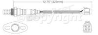 Oxygen Sensor