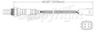 Oxygen Sensor, Rear