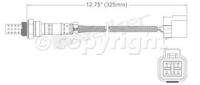 Oxygen Sensor
