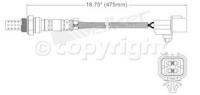 Oxygen Sensor