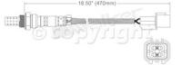 Oxygen Sensor