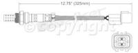 Oxygen Sensor