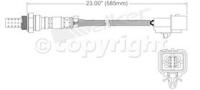 Oxygen Sensor