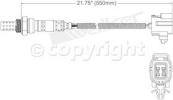 Oxygen Sensor