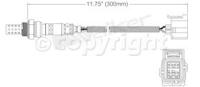 Oxygen Sensor