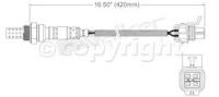 Oxygen Sensor