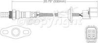 Oxygen Sensor