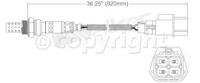 Oxygen Sensor, Front