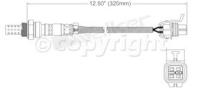 Oxygen Sensor