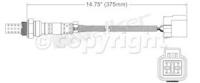 Oxygen Sensor, Front