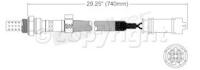 Oxygen Sensor