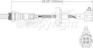 Oxygen Sensor