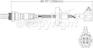 Oxygen Sensor