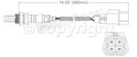 Oxygen Sensor
