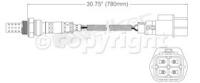 Oxygen Sensor