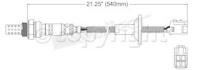 Oxygen Sensor, Front