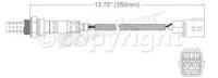 Oxygen Sensor