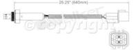 Oxygen Sensor, Front