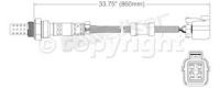 Oxygen Sensor