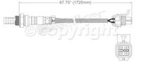 Oxygen Sensor