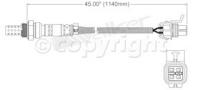 Oxygen Sensor