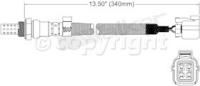 Oxygen Sensor, Front