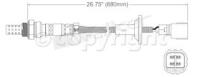 Oxygen Sensor