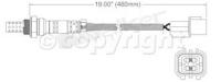 Oxygen Sensor