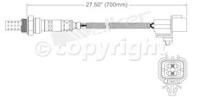 Oxygen Sensor