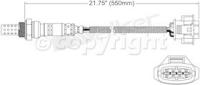 Oxygen Sensor